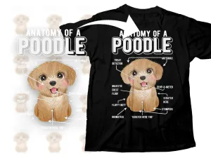 Adorable Poodle Diagram Illustration Png Digital Download