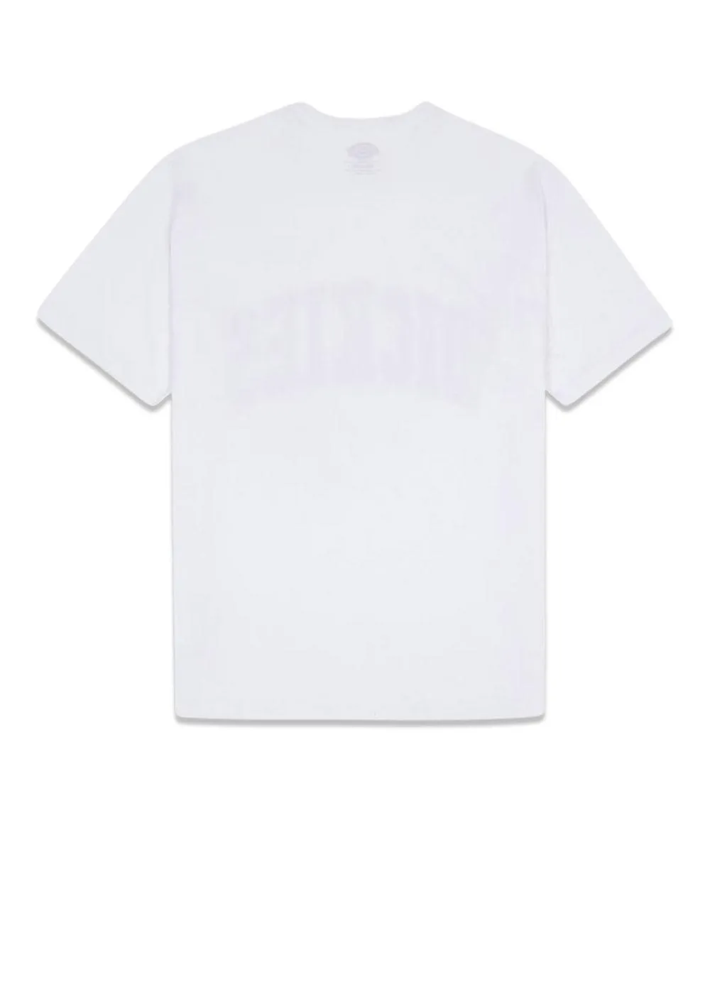 AITKIN TEE - Wht/Apple Mint